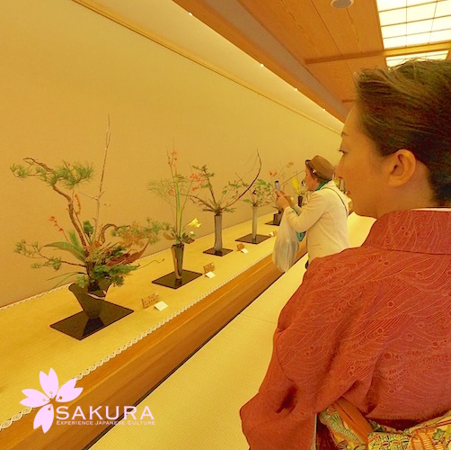Flower exhibition