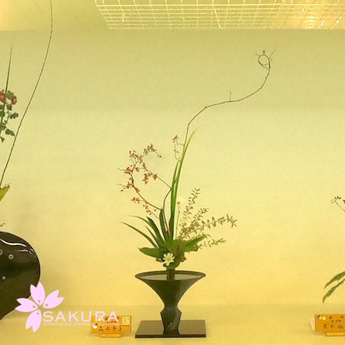 Flower exhibition