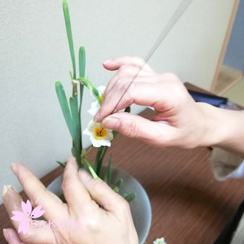 Flower exhibition