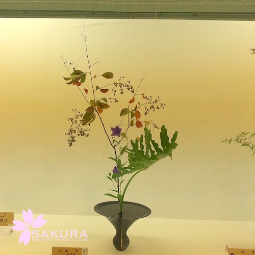 Flower exhibition